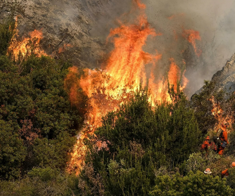 Forestry Fire Protection